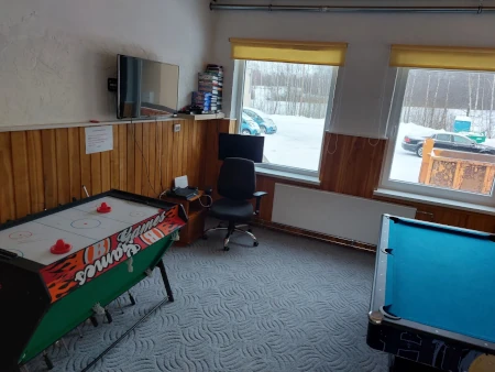 Õhuhoki, Playstation, piljard